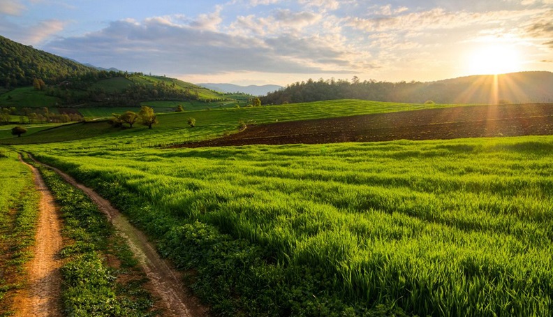  ویلا کیاسر شهرک دنیز